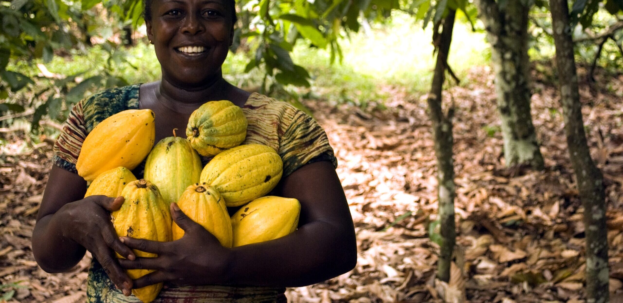 Access to finance lessons from the cocoa sector in Côte d’Ivoire