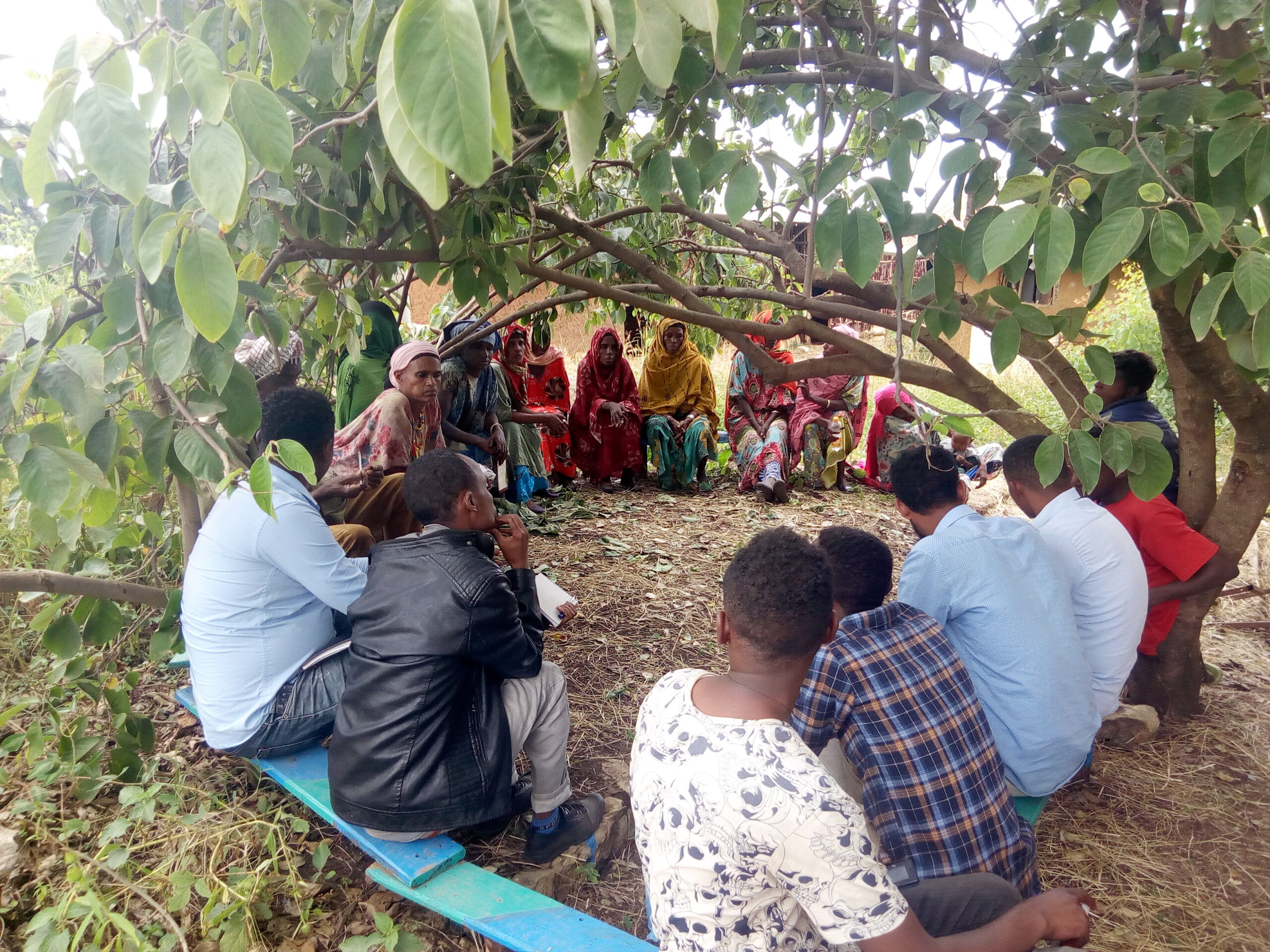 Glimmer adaptation of ALP and SCOPE tools for rural SACCOS