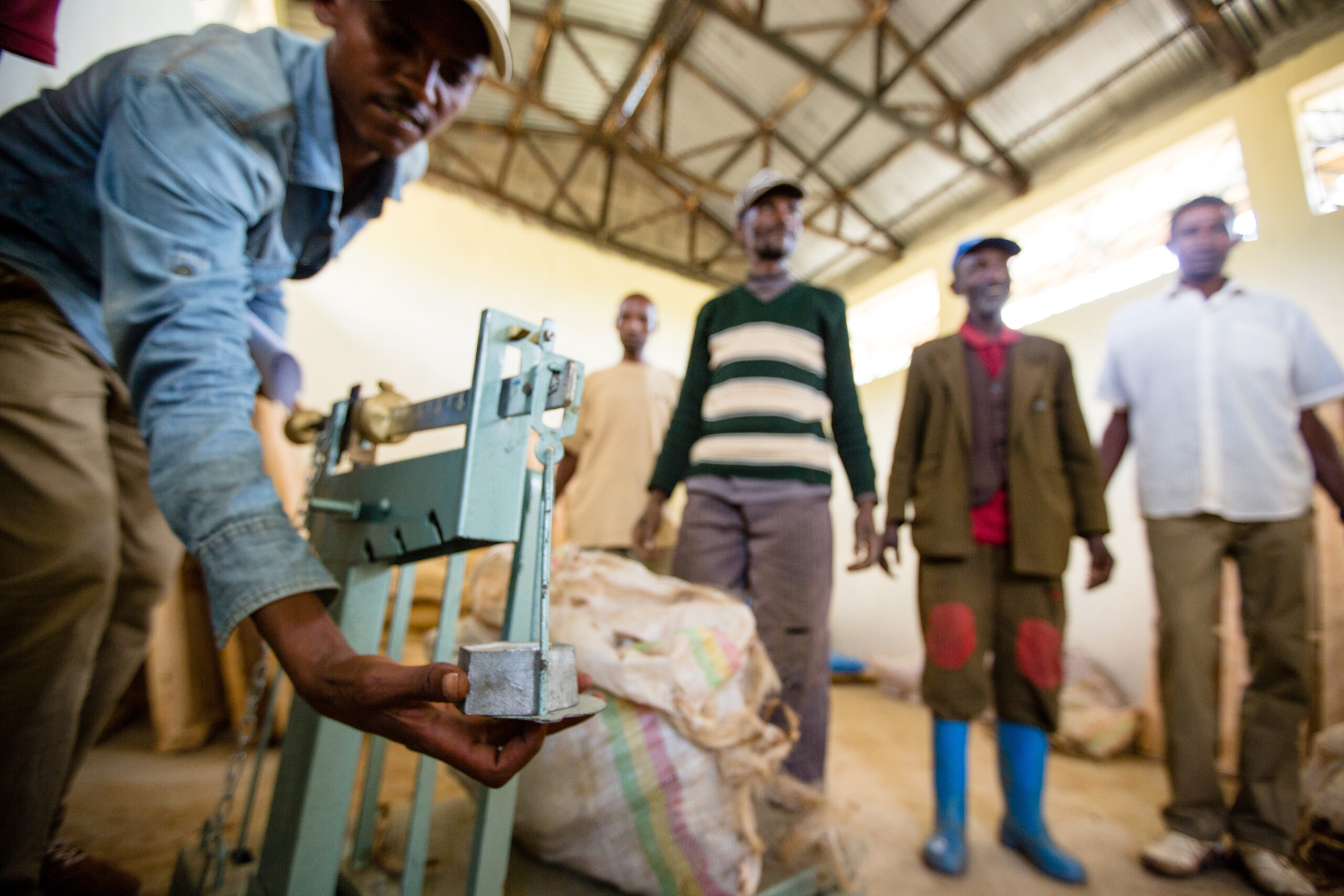 Cooperative-driven development in Ethiopia (case study)