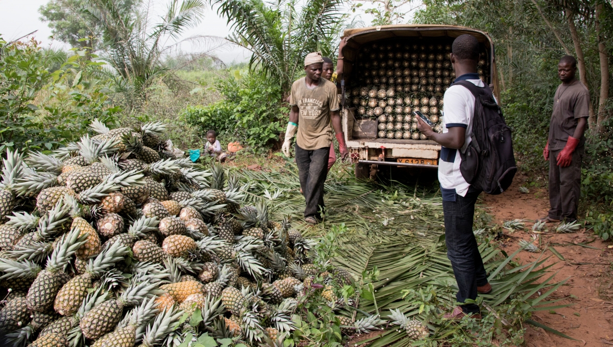Programme Agri-business cluster Benin (case study French)