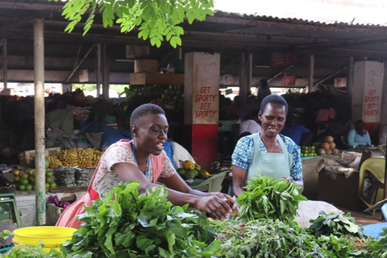 Veggies 4 Planet and People In Kenya and Ethopia – Case Study