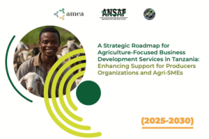 Tanzania Roadmap Cover Image