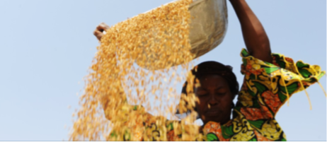 AMEA case study GIZ Inclusive Financing Benin Featured Image