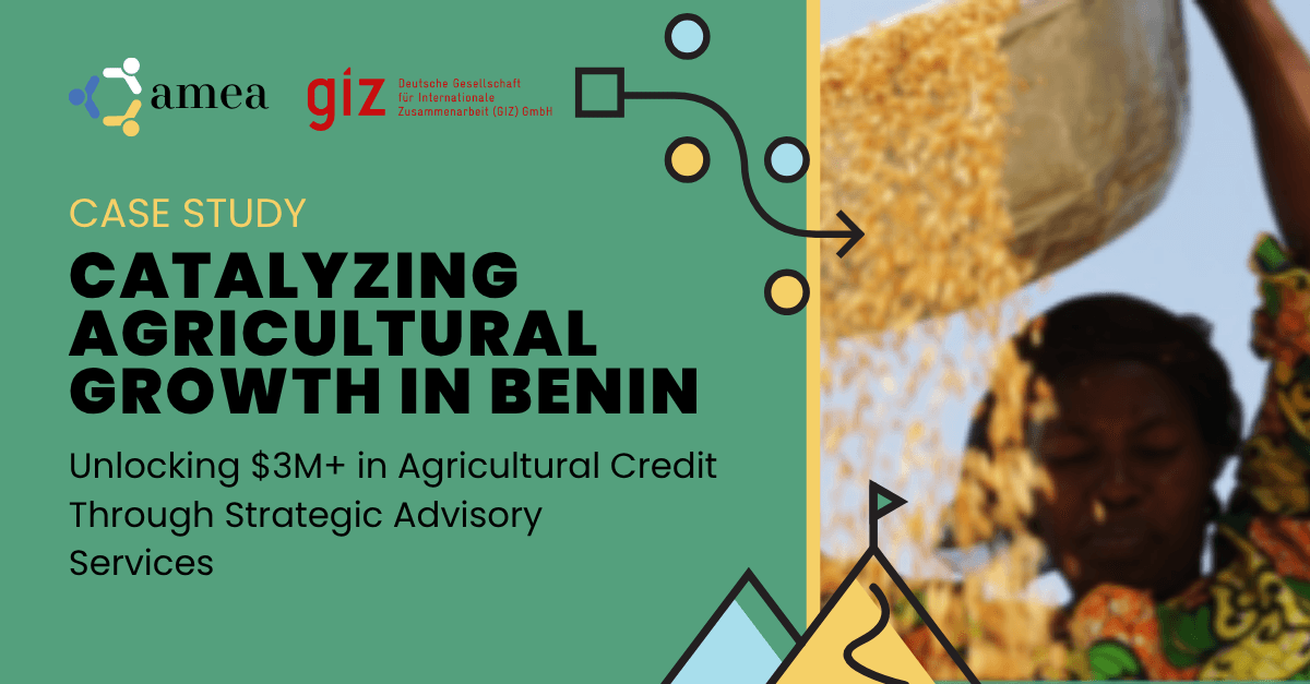 Catalyzing Agricultural Growth in Benin (case study)
