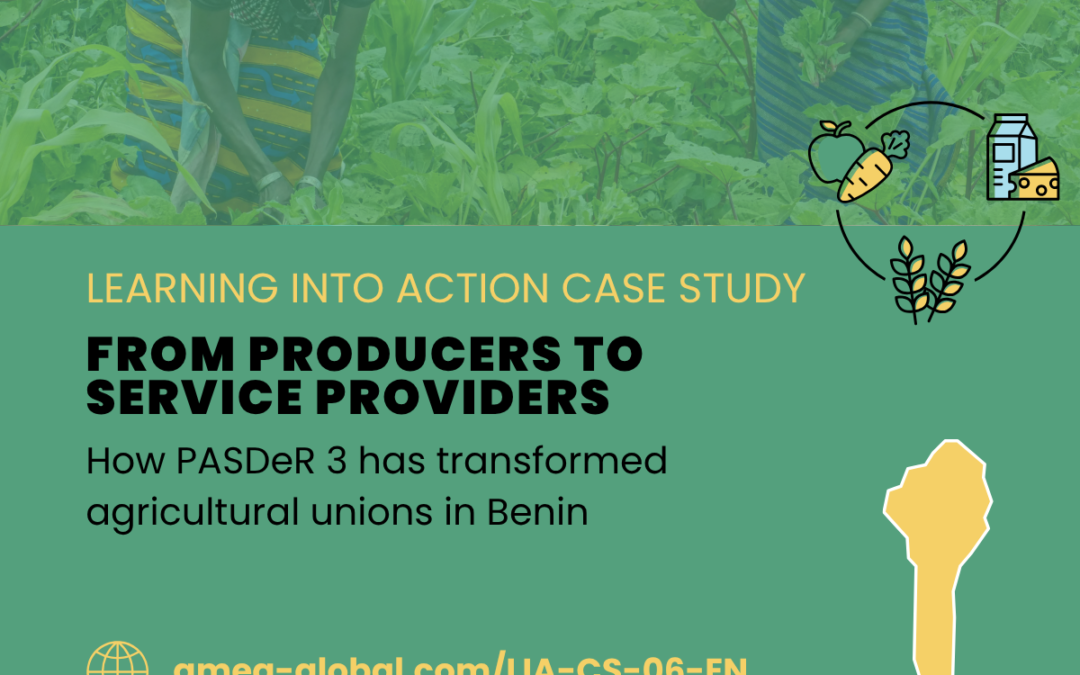 How PASDeR 3 has transformed agricultural unions in Benin