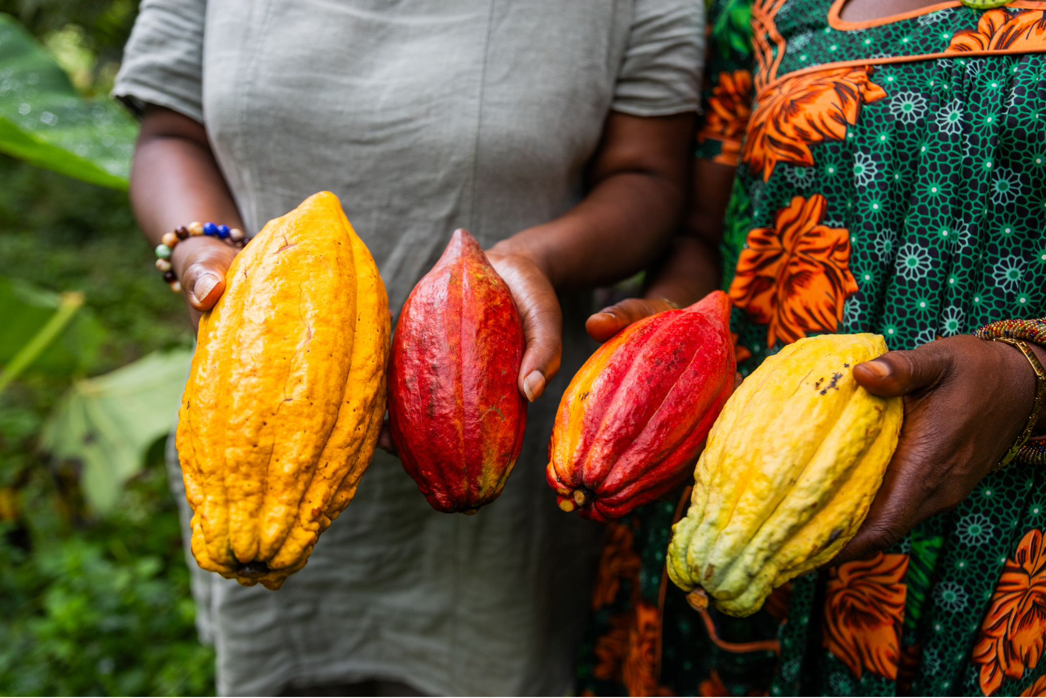 AMEA Agribusiness Market Ecosystem Alliance