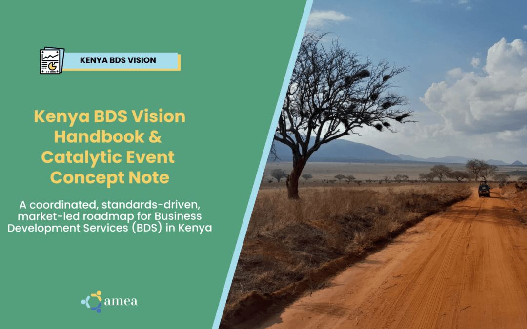 Kenya Charts a National Course for Standards-Driven BDS