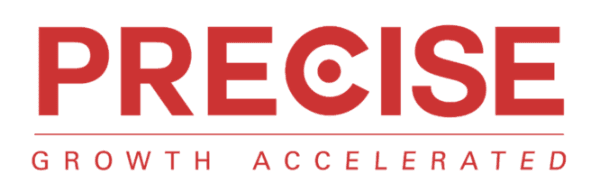 Precise Logo Web