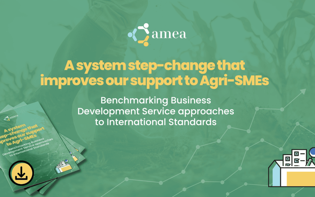 A system step-change that improves our support to Agri-SMEs
